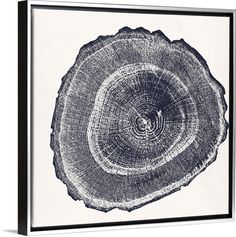 a tree stump is shown in this black and white photo, with the center section cut out