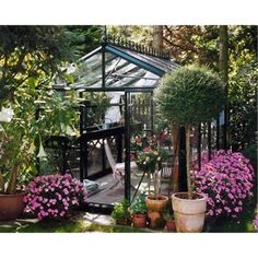 a greenhouse with potted plants and flowers in the foreground, surrounded by greenery