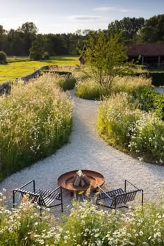 an outdoor fire pit surrounded by wildflowers and other greenery in the background