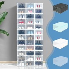 an image of a closet with shoes and boxes on the floor next to a plant