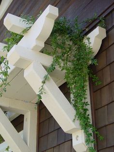 a plant growing on the side of a building