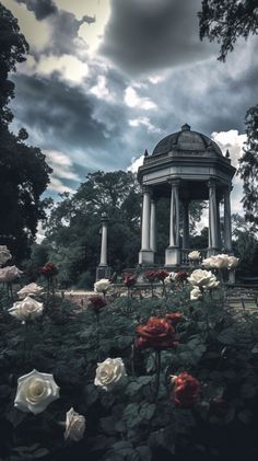 a gazebo surrounded by white and red roses under a cloudy sky with dark clouds