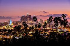 the city skyline is lit up at night, with palm trees and buildings in the foreground