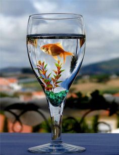 there is a glass with water and fish in it that says interest on the bottom