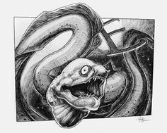 a drawing of a snake with its mouth open