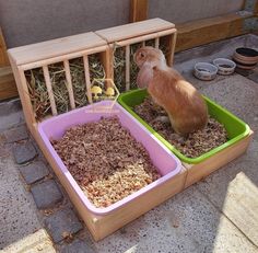 two plastic containers with food in them on the ground next to a wooden fence and chicken coop