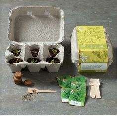 an egg carton filled with seedlings next to other items on a table top