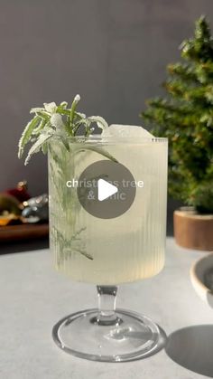 a glass filled with a drink sitting on top of a table next to a potted plant