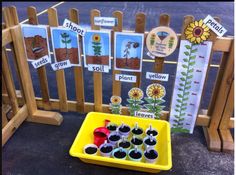 a yellow tray filled with plants next to a wooden fence and sign that says plant parts