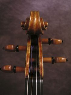 a violin with four strings attached to it