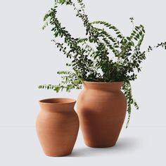 two clay vases with plants in them