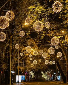 christmas lights are hanging from the trees in an empty street