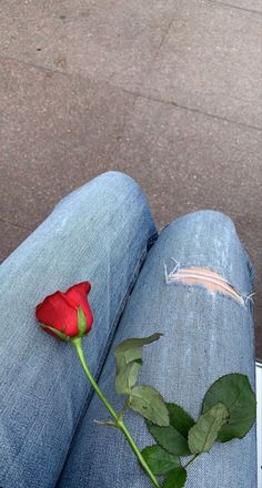 a single red rose sitting on the lap of someone's jeans, with their feet propped up