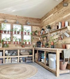 a room filled with lots of potted plants and pots on shelves next to windows