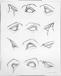 various types of eyes drawn in pencil