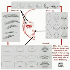 how to draw the nose with different shapes and hair types for each individual part of the face