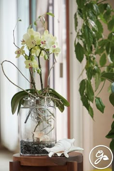 a vase filled with water and flowers on top of a wooden table next to a potted plant