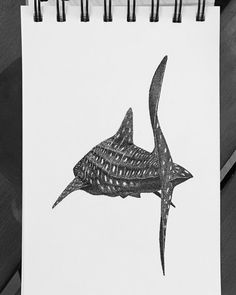 a drawing of a shark on a piece of paper with pen and ink in it