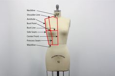 a mannequin's torso is labeled with all the parts labelled on it