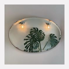 a mirror with some lights on it and a plant in the middle is shown here