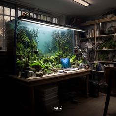 a desk with a laptop on top of it in front of an aquarium filled with plants