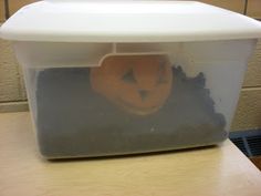 a plastic container with a pumpkin in it