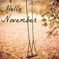 a swing hanging from a tree with the words hello november written in black on it