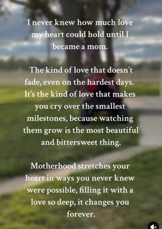 a poem written in front of a tree with the words i never knew how much love my heart could hold until i become a mom