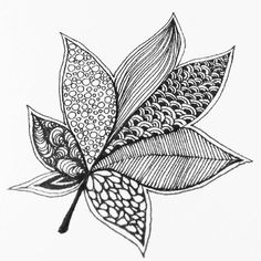 a black and white drawing of a leaf