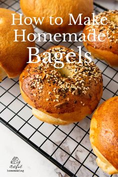 freshly baked homemade bagels on a wire cooling rack overlaid with text Overnight Bagel Recipe, New York Bagel, Homemade Bagels, Bagel Recipe, Everything Bagel, Bread Recipes Homemade, Bagels