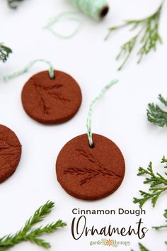 cinnamon dough ornaments are hanging from twine