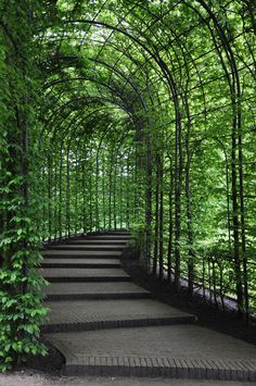 the walkway is lined with green trees and brick paversed paths that lead through it