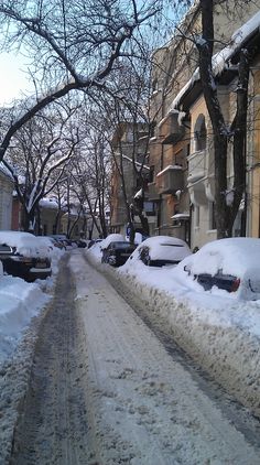 a snowy street with cars parked on both sides