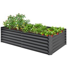 an image of a garden box with plants growing in the top and bottom part, on a white background