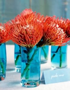 red flowers in blue vases with place cards on a white tablecloth covered table