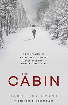 the cabin movie poster with a person walking on a snowy path in the woods,