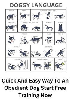 a dog language poster with instructions for dogs to learn how to use the same language