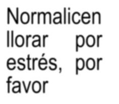 the words are written in black and white on a white background, which reads nomalicen liorar, por ests, por favors, por favor