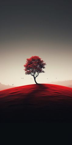 a lone tree stands alone on a hill