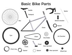 the basic parts for a bicycle