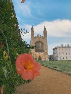 an orange flower is in front of a large building with a tall tower behind it