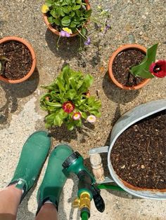 someone is watering flowers in their garden with green hoses and gardening implements on the ground