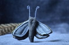 a close up of a moth on a blue cloth with some thread in the background