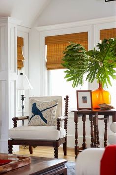 a living room filled with furniture and a potted plant on top of a table