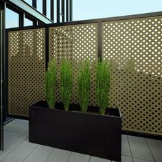 two planters on the side of a building