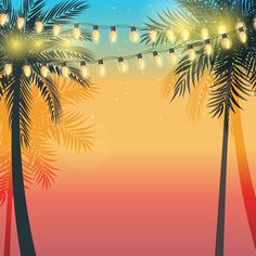 palm trees with lights on them at sunset