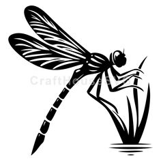 a black and white drawing of a dragonfly sitting on top of a grass plant