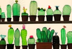 there are many different types of cactuses in the same photo, one is green and the other is black