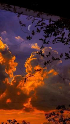 the sun is setting behind some clouds with trees in the foreground and an airplane flying overhead