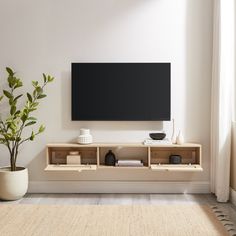 a flat screen tv mounted to the side of a wall next to a potted plant